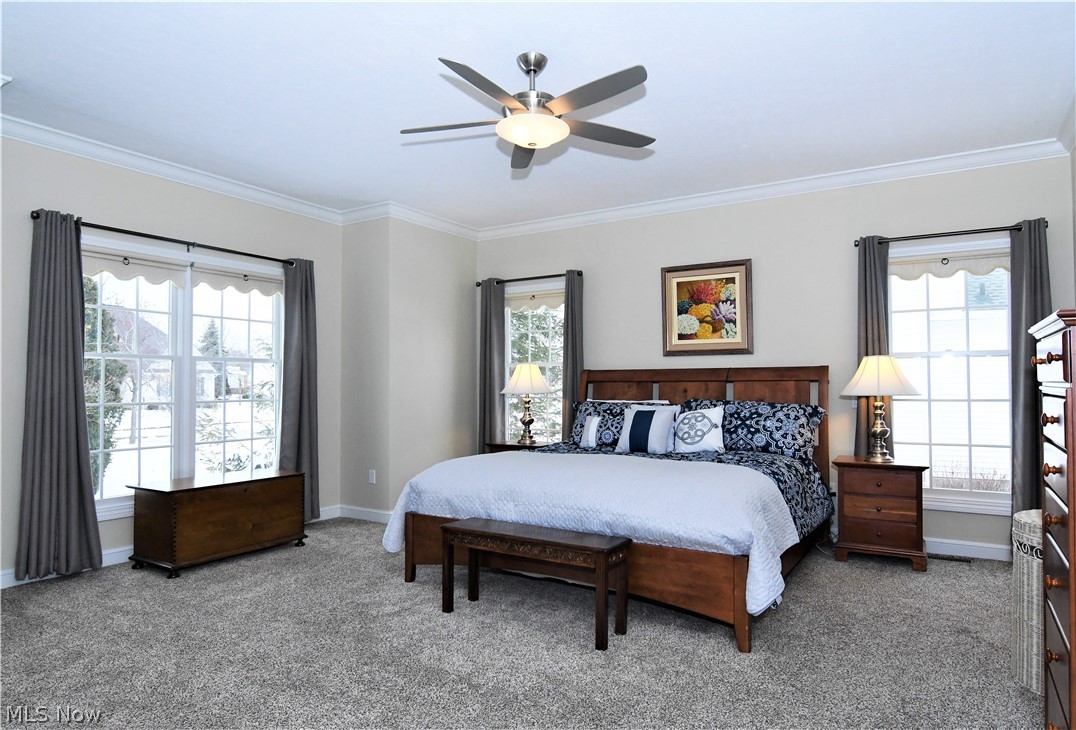659 Sunridge Road Fairlawn, OH 44333 - Photo 13 of 35 Spacious 1st floor master bedroom with dual entry to walk in closet