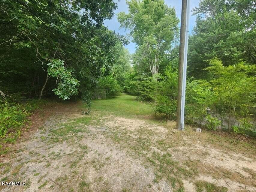 1031 Roberts Ridge Road Ten Mile, TN 37880 - Photo 17 of 21 a view of a garden with plants and large trees