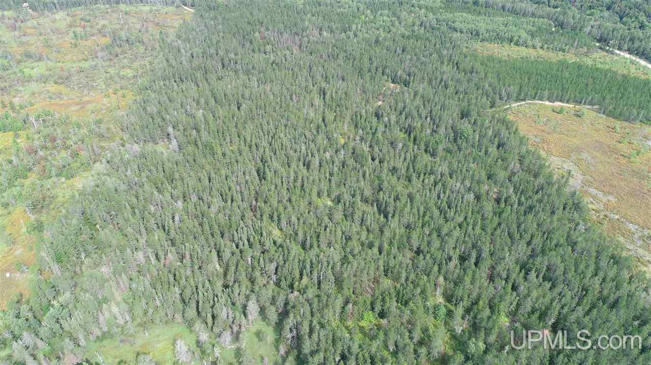 2207 West Co Road Seney, MI 49883 - Photo 21 of 32