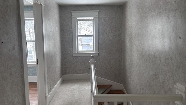 53 Texel Drive Springfield, MA 01108 - Photo 19 of 21