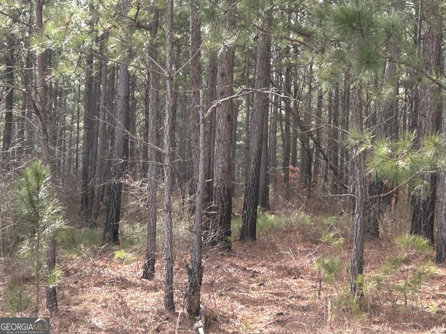 222 Riversong (tract 7) Carrollton, GA 30117 - Photo 20 of 72