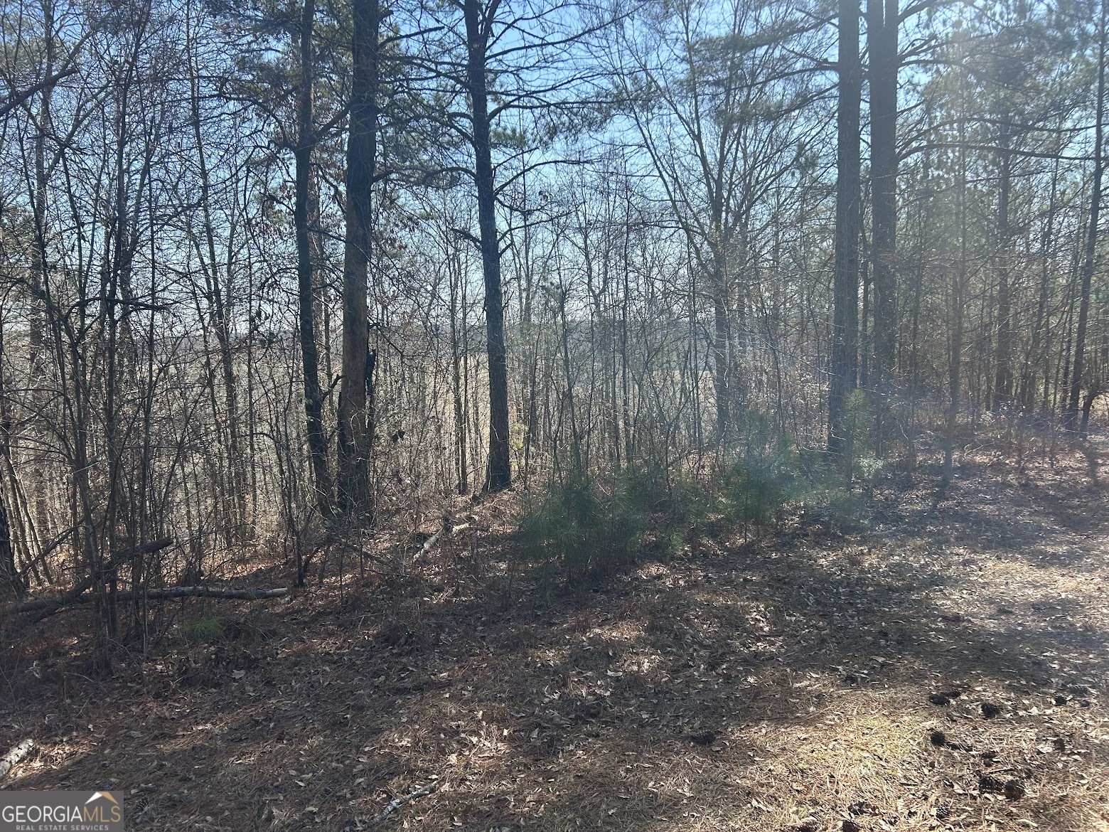 222 Riversong (tract 7) Carrollton, GA 30117 - Photo 5 of 72