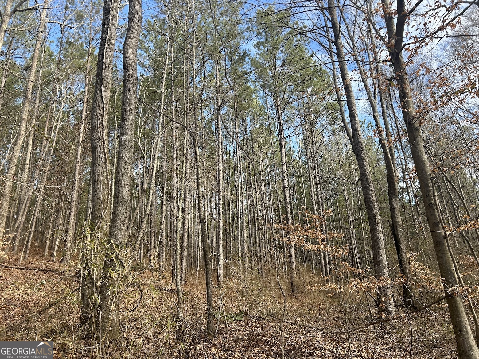 222 Riversong (tract 7) Carrollton, GA 30117 - Photo 69 of 72