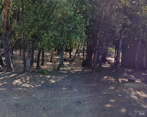 a view of a tree in the middle of a yard