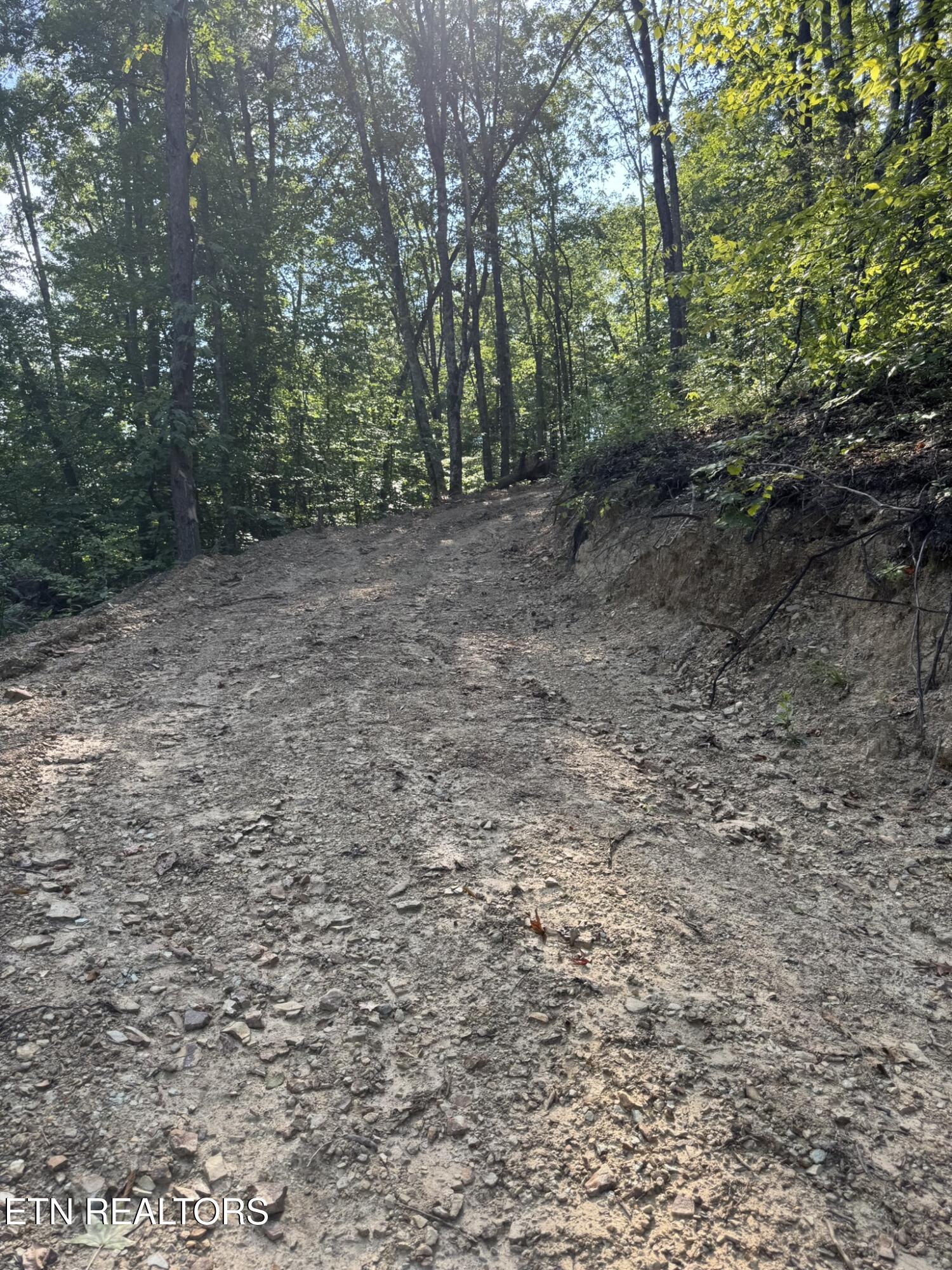 Lot 4 Texas Hollow Road Luttrell, TN 37779 - Photo 11 of 14 IMG_0535