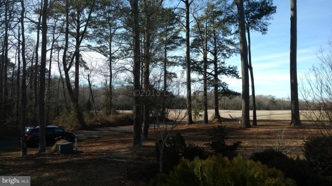 36968 Purnell Crossing Road Willards, MD 21874 - Photo 20 of 20