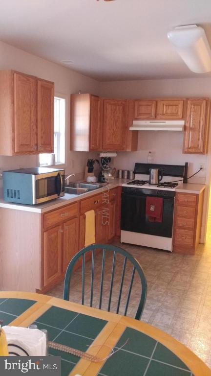 36968 Purnell Crossing Road Willards, MD 21874 - Photo 9 of 20