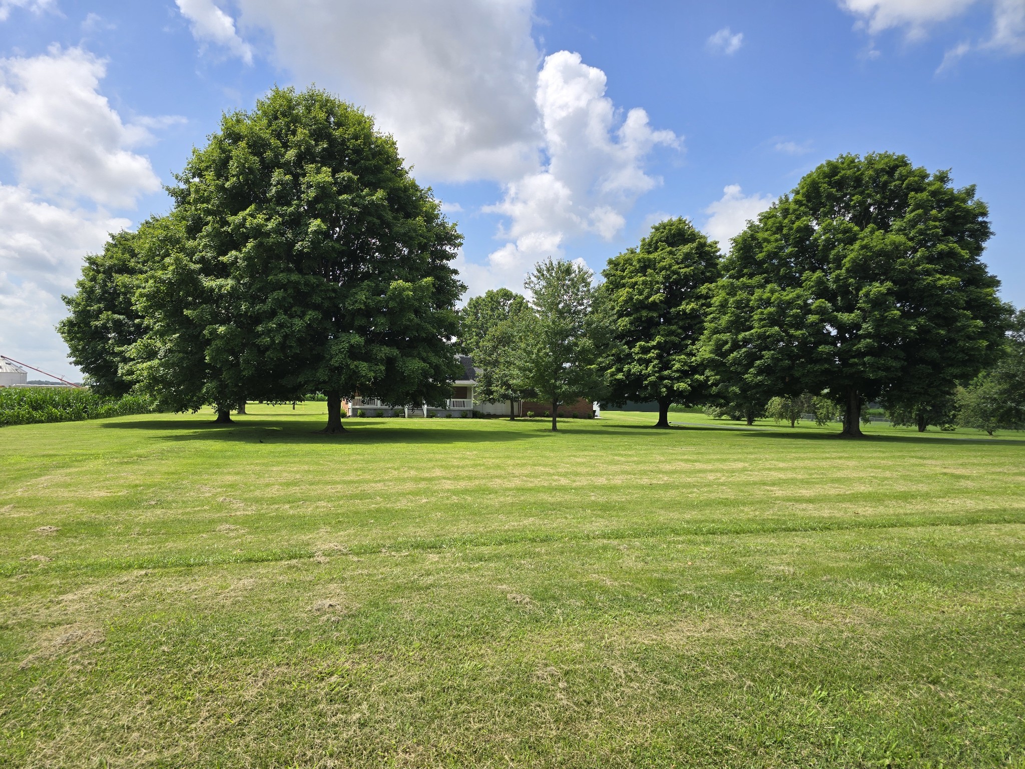 511 Snardon Mill Road Allensville, KY 42204 - Photo 5 of 44 a view of a green field