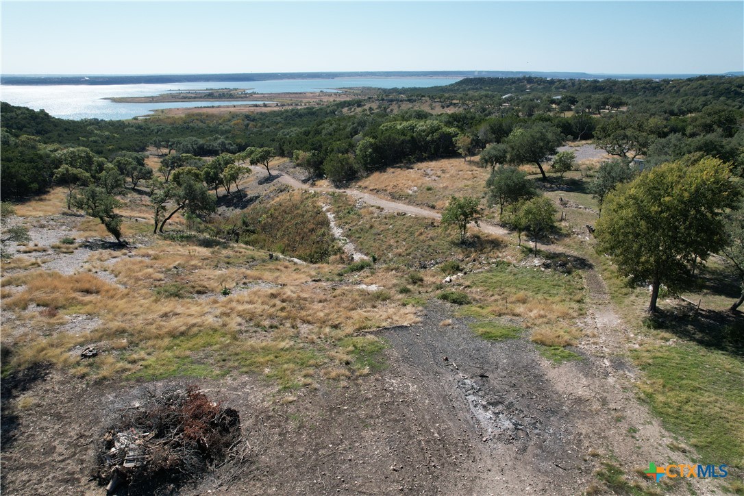 6935 Long Bow Road Belton, TX 76513 - Photo 6 of 7 a view of a forest with a forest