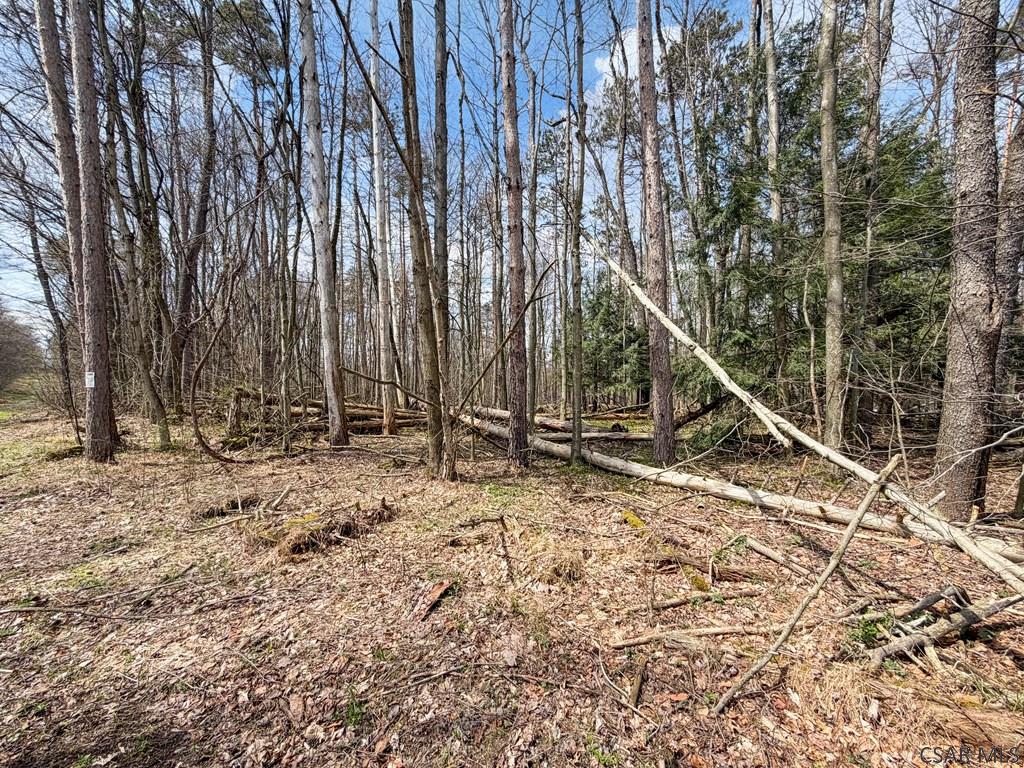 0 Benshoff Hill Road Johnstown, PA 15906 - Photo 4 of 9