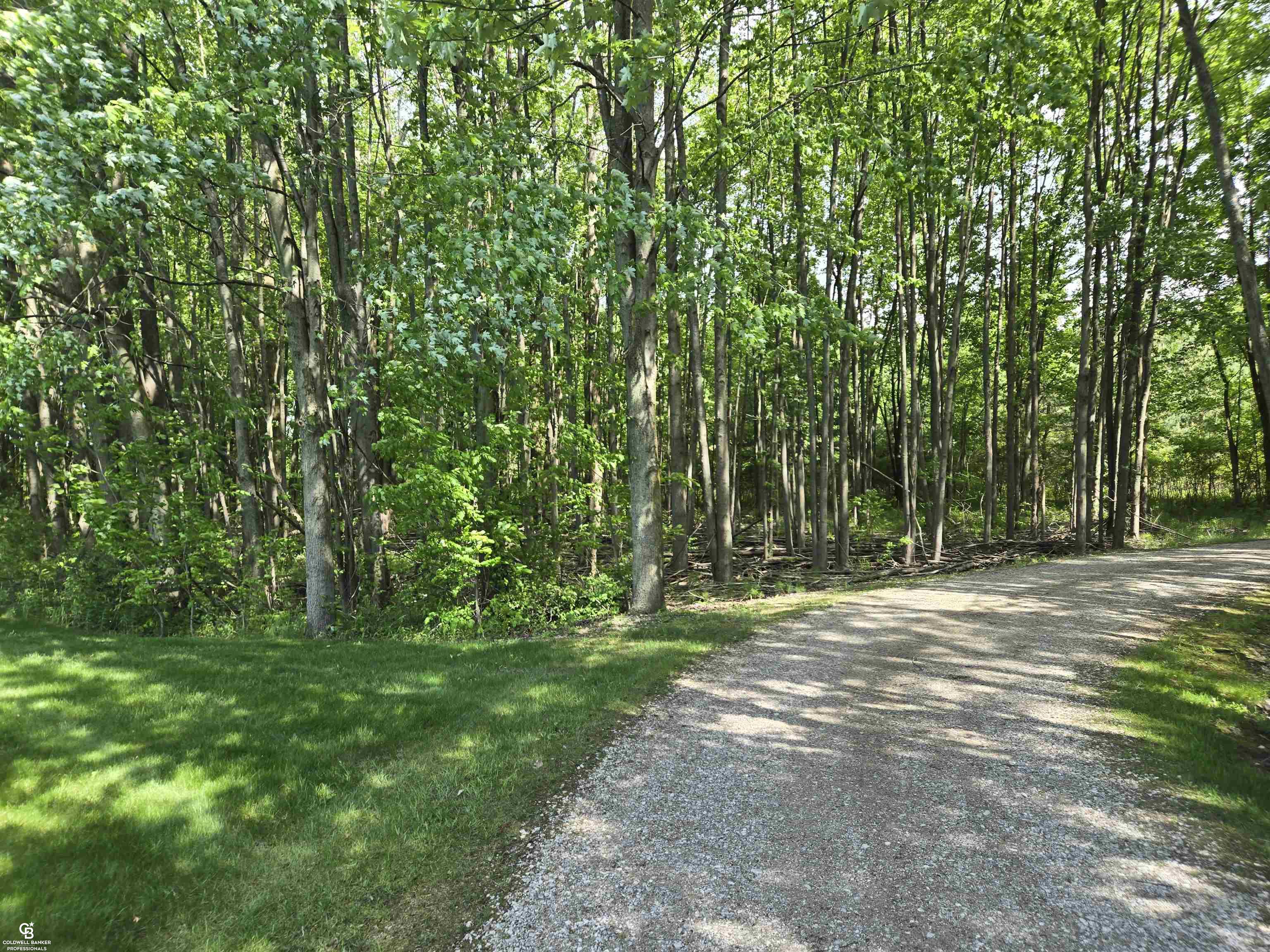 9660 Brandon Road Avoca, MI 48006 - Photo 50 of 54