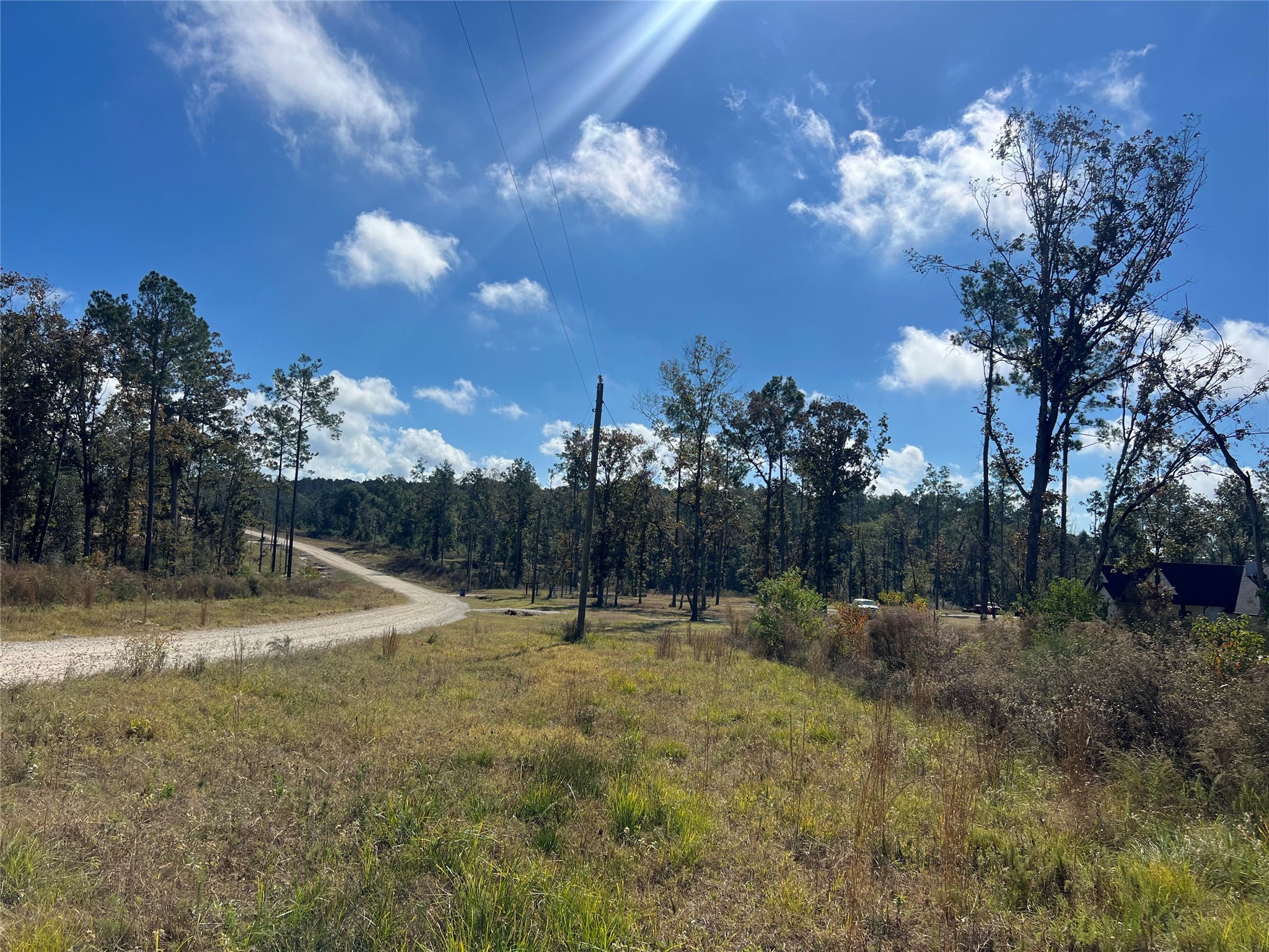 7 Reveille Road Livingston, TX 77351 - Photo 6 of 12