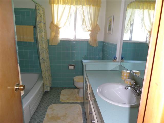 8339 Busch Street Center Line, MI 48015 - Photo 9 of 13 MAIN BATH
