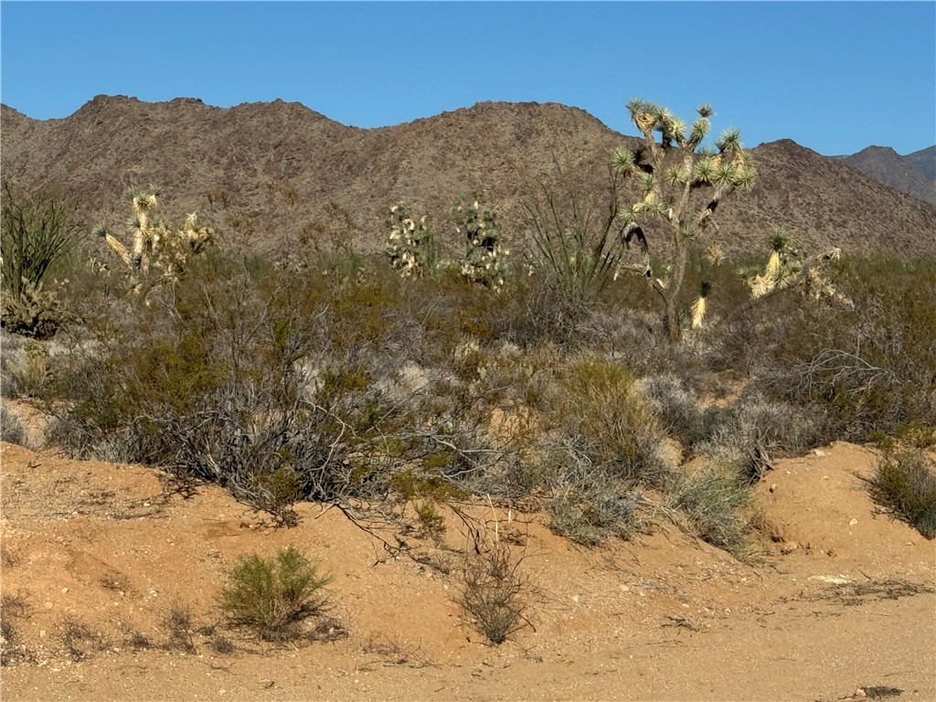 242-03-004 South Sundance Kid Road Yucca, AZ 86438 - Photo 1 of 19