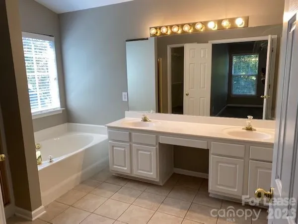 a bathroom with a sink double vanity and a bathtub