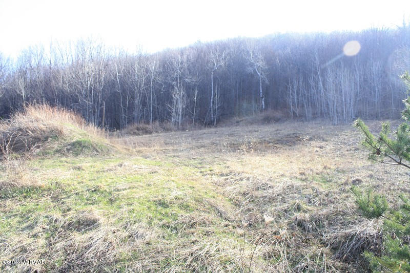 0 Welch Mountain Road Covington, PA 16917 - Photo 6 of 25 125326-06
