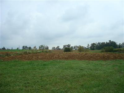 4130 Mt Sterling Road Winchester, KY 40391 - Photo 3 of 19 Photo 3