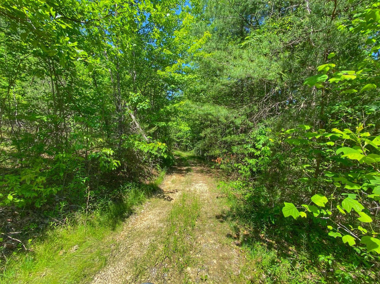 1640 Calaboose Ridge Road Campton, KY 41301 - Photo 37 of 38 Photo 37