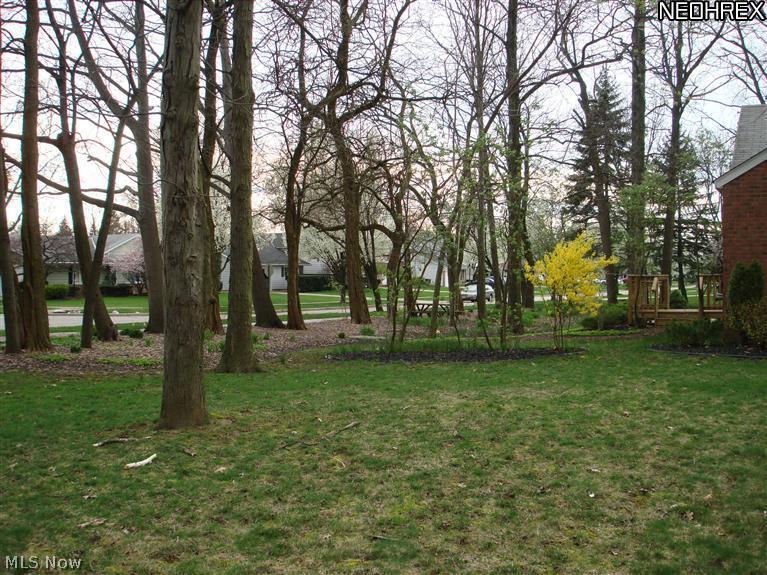1784 Sunview Road Cleveland, OH 44124 - Photo 2 of 20 Beautiful park like view all around!