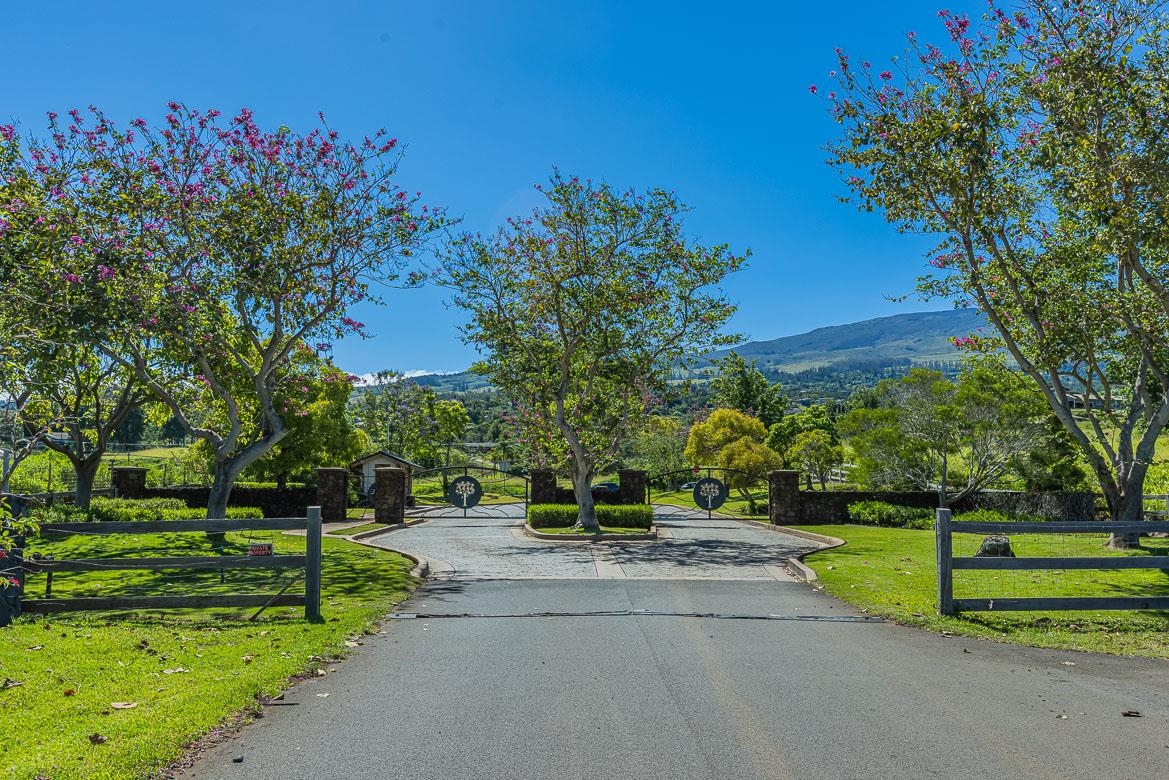 144 Kula Io Road, Unit LOT #27 Kula, HI 96790 - Photo 18 of 22
