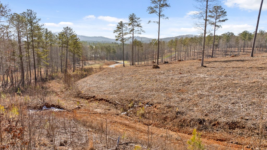 Lot 293 Twisted Oak Road Talking Rock, GA 30175 - Photo 18 of 46 Gallery Image 18