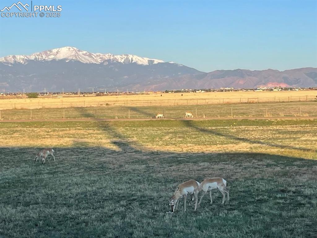 7875 Falcon Meadows Boulevard Peyton, CO 80831 - Photo 4 of 50 a view of an ocean and a mountain