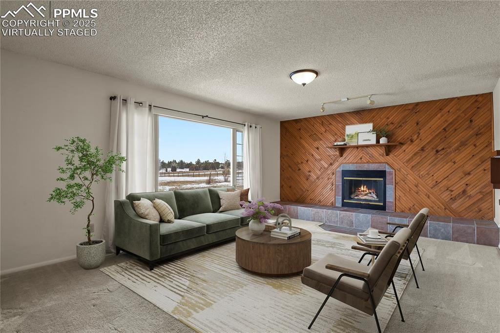 7875 Falcon Meadows Boulevard Peyton, CO 80831 - Photo 6 of 50 a living room with furniture and a fireplace