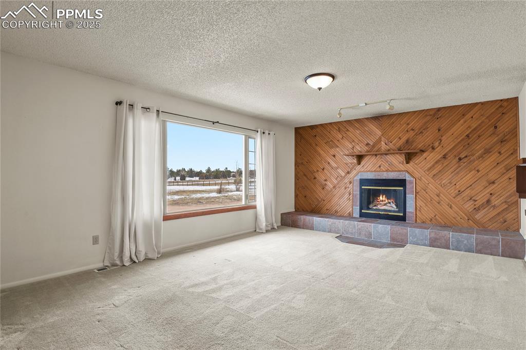 7875 Falcon Meadows Boulevard Peyton, CO 80831 - Photo 7 of 50 an empty room with window and fireplace