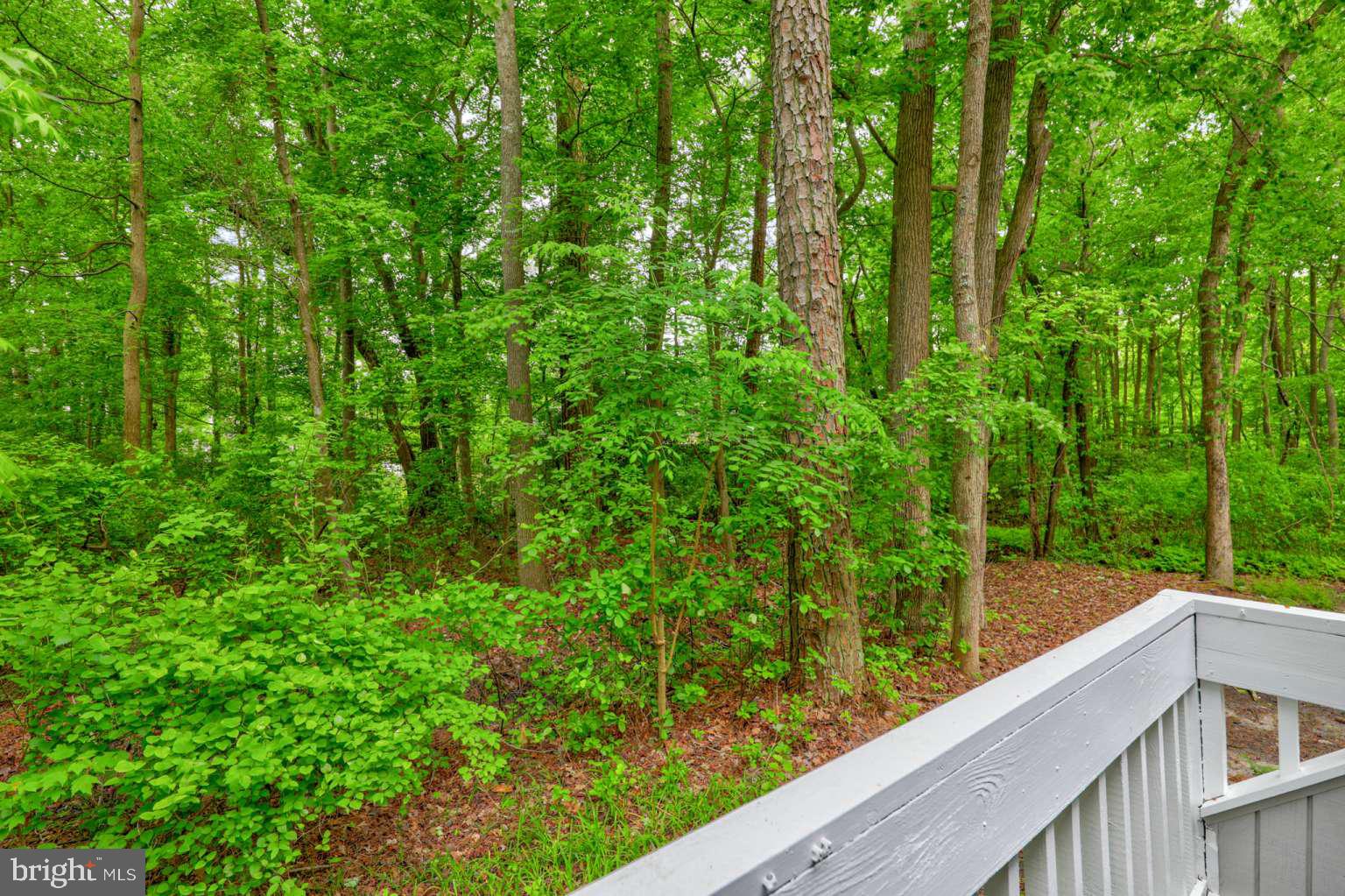 39633 Round Robin Way, Unit 2602 Bethany Beach, DE 19930 - Photo 24 of 43 a view of a forest from a balcony