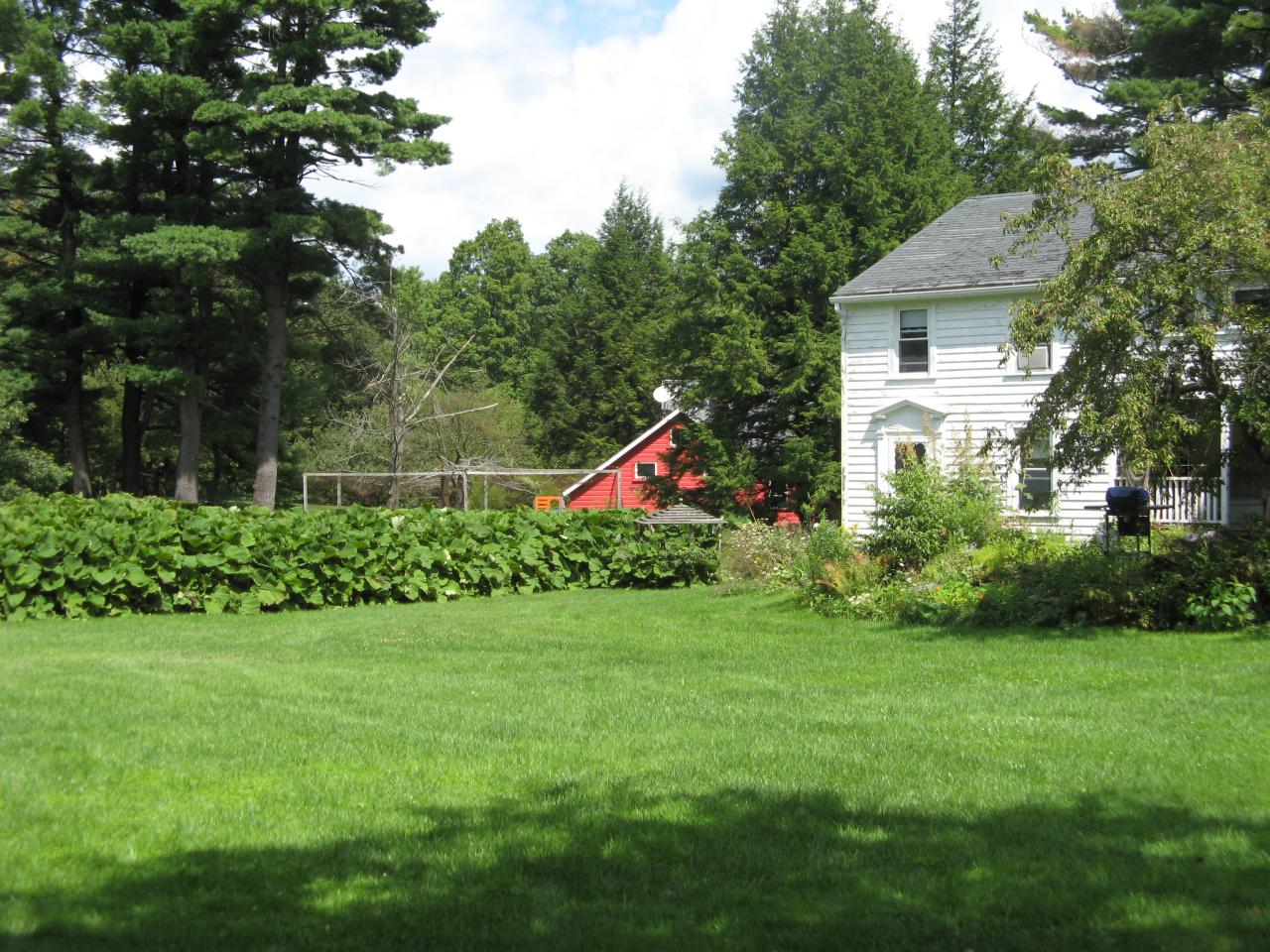 12 West Stockbridge Road Stockbridge, MA 01262 - Photo 1 of 12 a view of a garden in front of a house