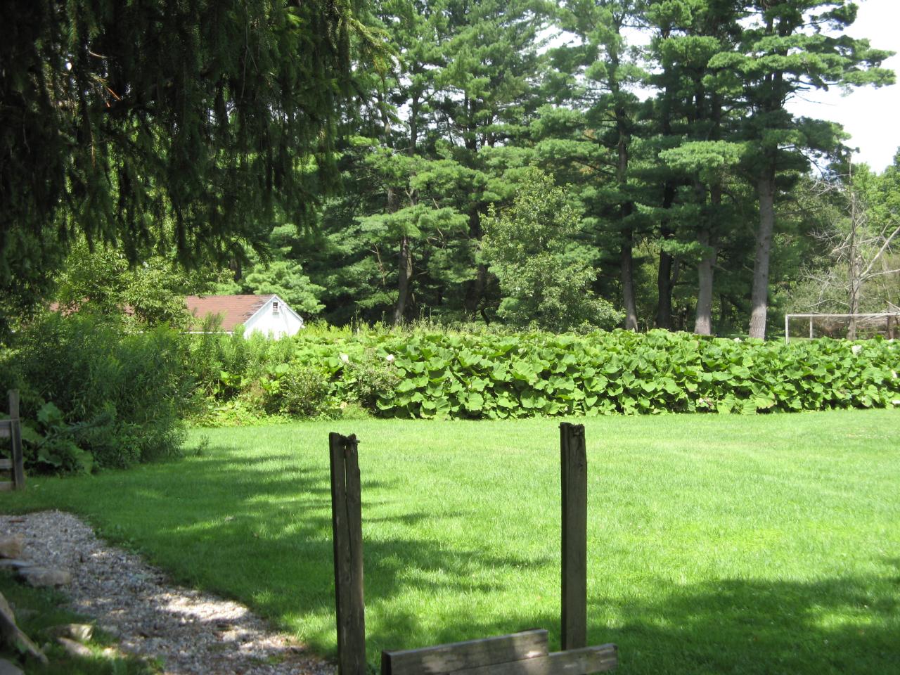 12 West Stockbridge Road Stockbridge, MA 01262 - Photo 2 of 12 a view of a garden in a house