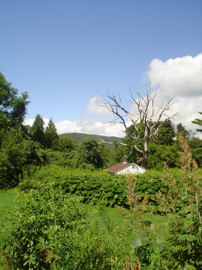 12 West Stockbridge Road Stockbridge, MA 01262 - Photo 3 of 12 a view of a garden