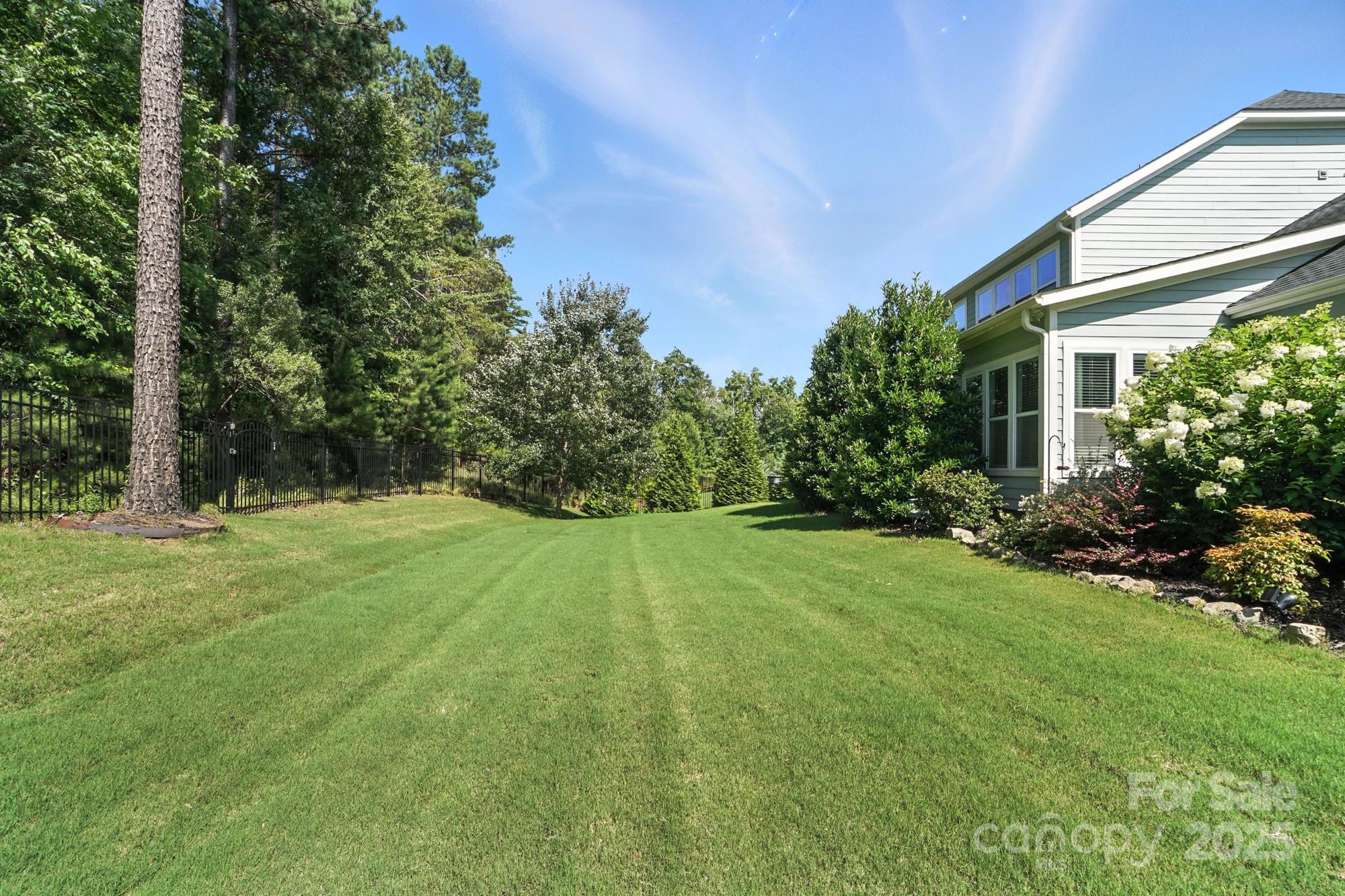 1908 Masons Bend Drive Fort Mill, SC 29708 - Photo 40 of 45 a view of a big yard with plants and large trees