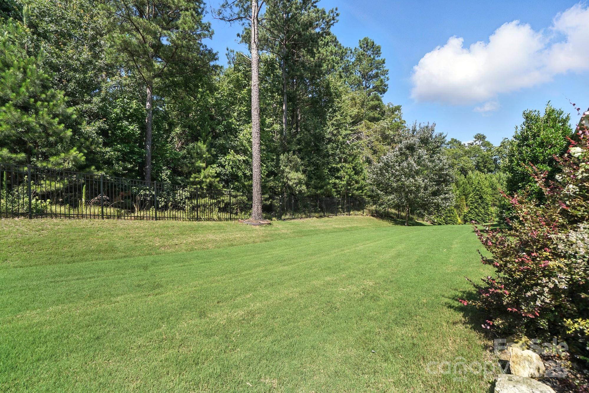 1908 Masons Bend Drive Fort Mill, SC 29708 - Photo 41 of 45 a view of outdoor space with trees all around