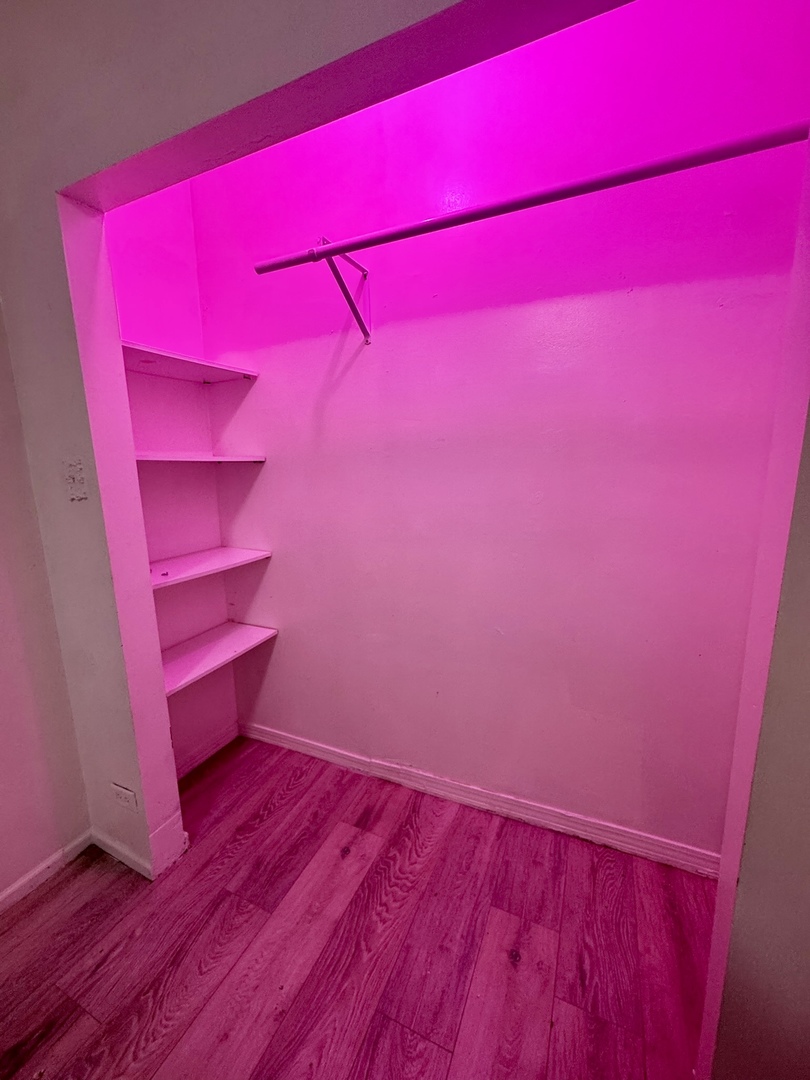 1250 North Springfield Avenue, Unit 1 Chicago, IL 60651 - Photo 5 of 9