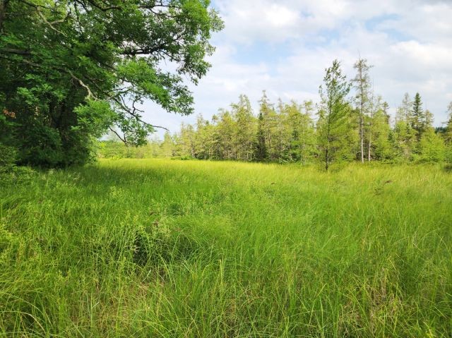 6565 Lynch Bridge Road Siren, WI 54872 - Photo 31 of 60
