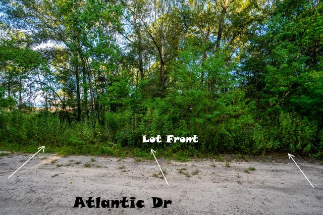 a view of a park with trees