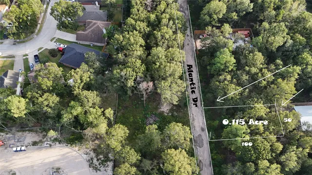 a picture of flowers