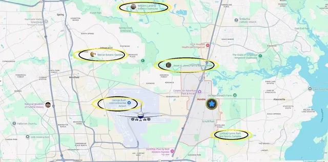 an aerial view of a house with a yard and potted plants