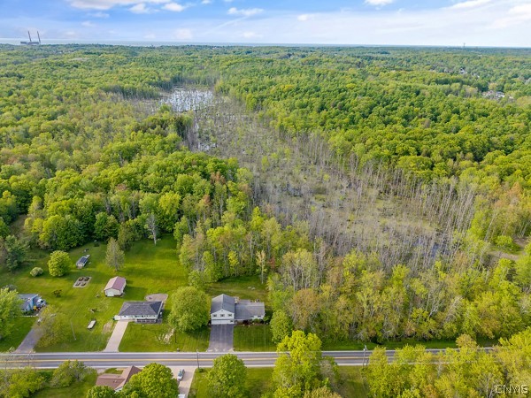 112 County Rte 42 Minetto, NY 13126 - Photo 42 of 45