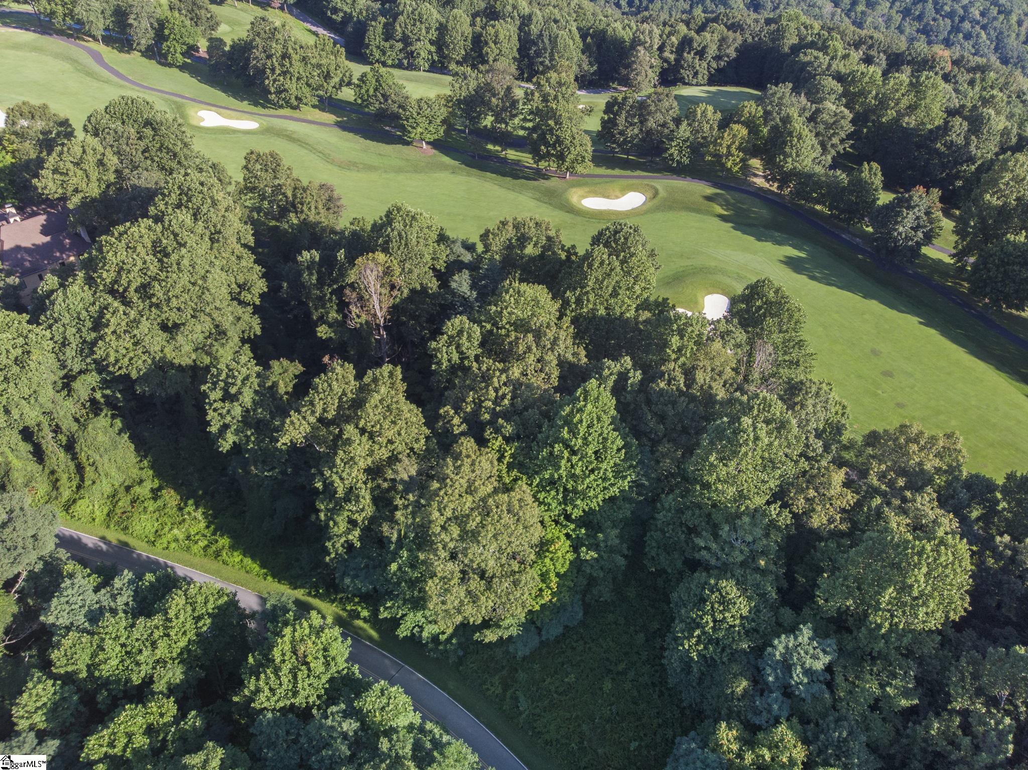 13 May Apple Way Landrum, SC 29356 - Photo 3 of 13 Gallery Image 3