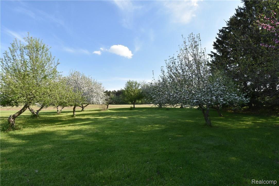 7196 Washburn Road Goodrich, MI 48438 - Photo 82 of 89 DSC_5113 (1).JPG