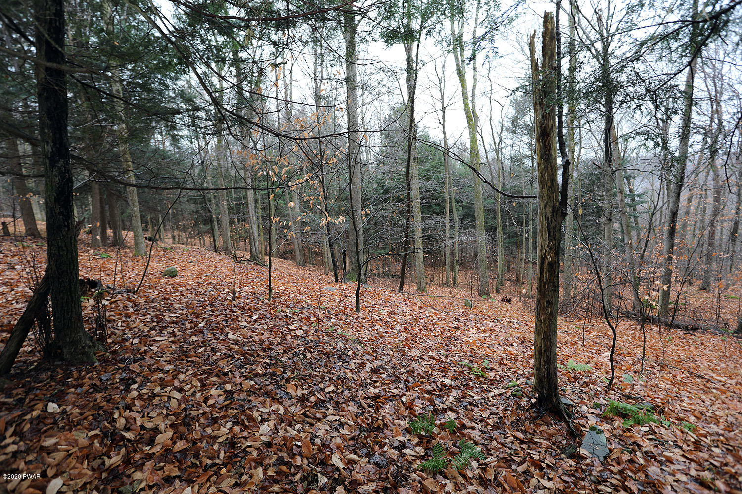 276 Rotten Road Equinunk, PA 18417 - Photo 41 of 45