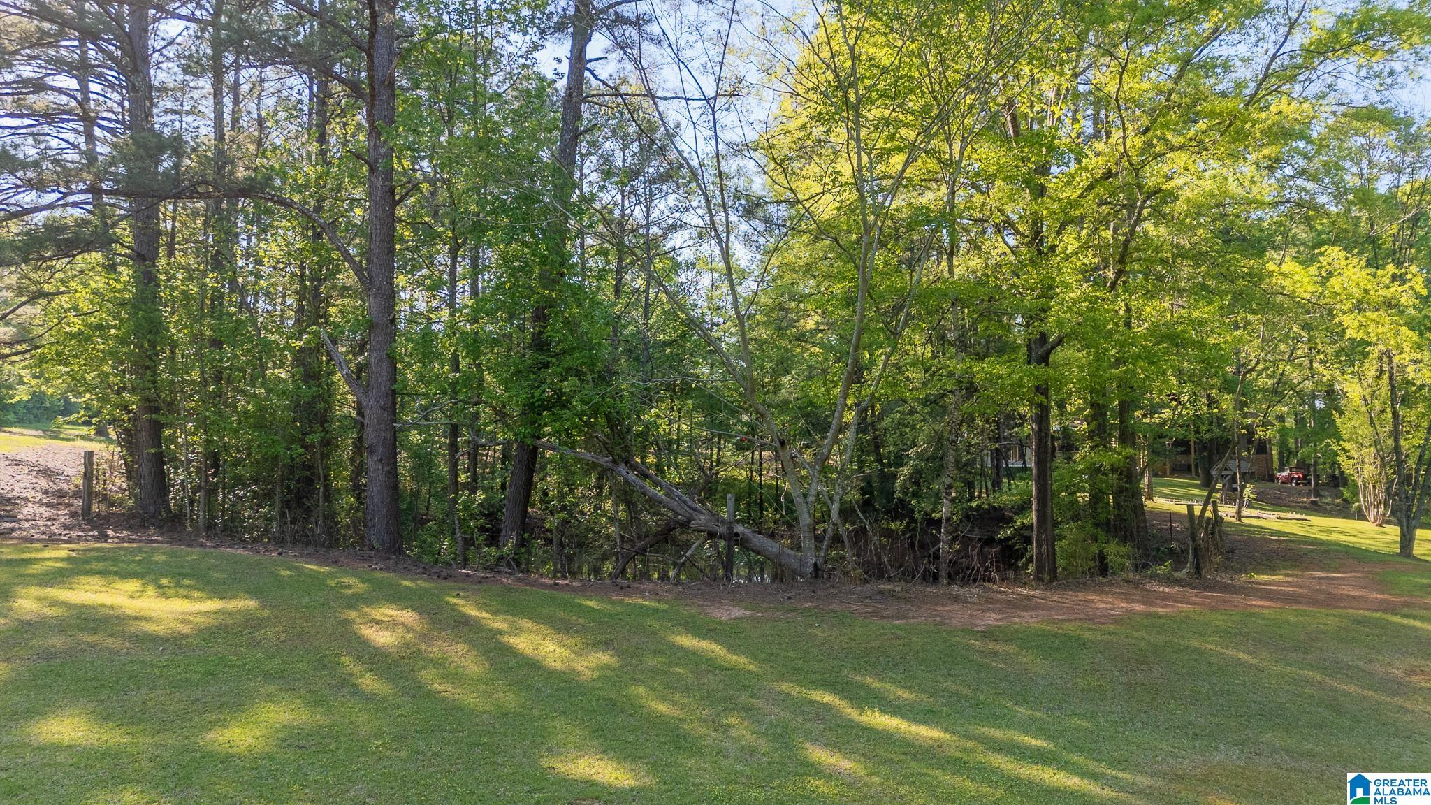 4435 Renfroe Road Talladega, AL 35160 - Photo 74 of 99 Gallery Image 74