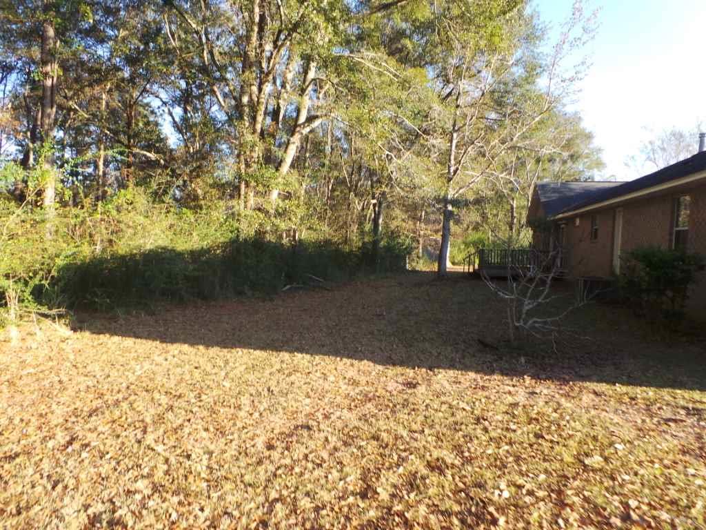 4810 North Pine Barren Road Century, FL 32535 - Photo 4 of 13