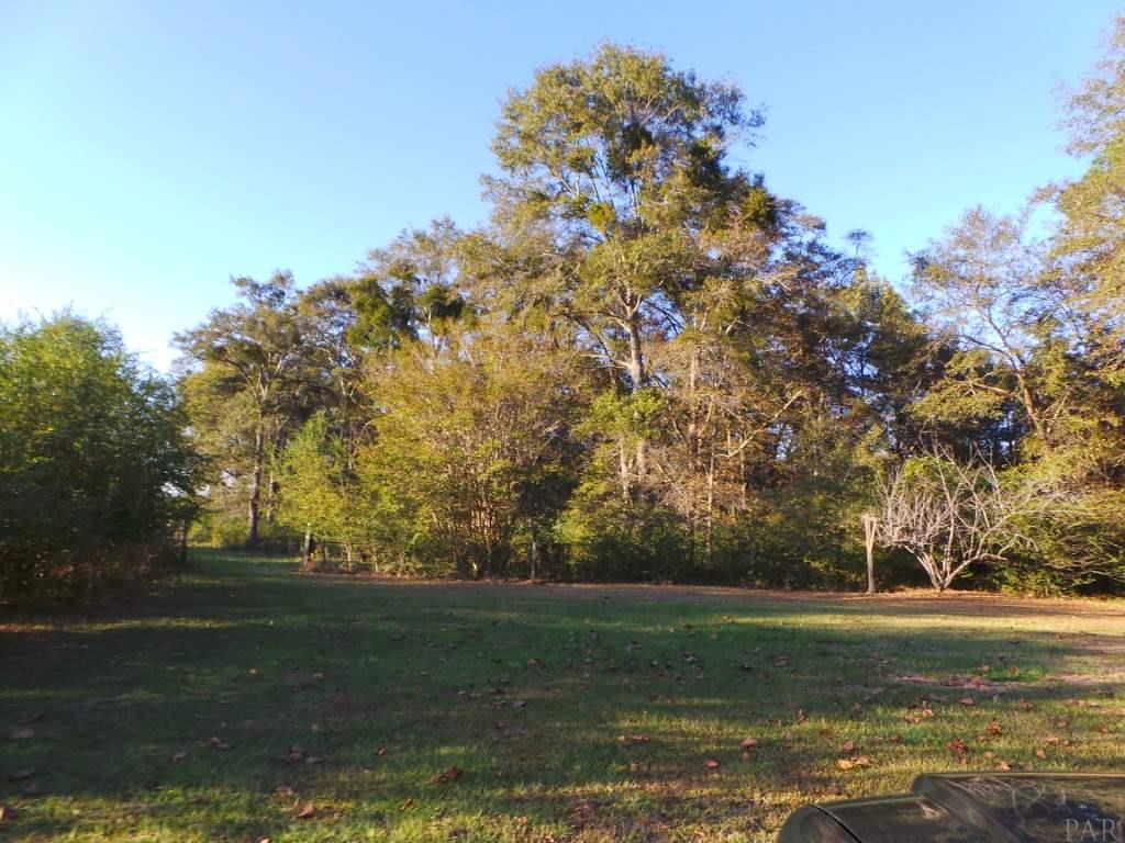 4810 North Pine Barren Road Century, FL 32535 - Photo 5 of 13