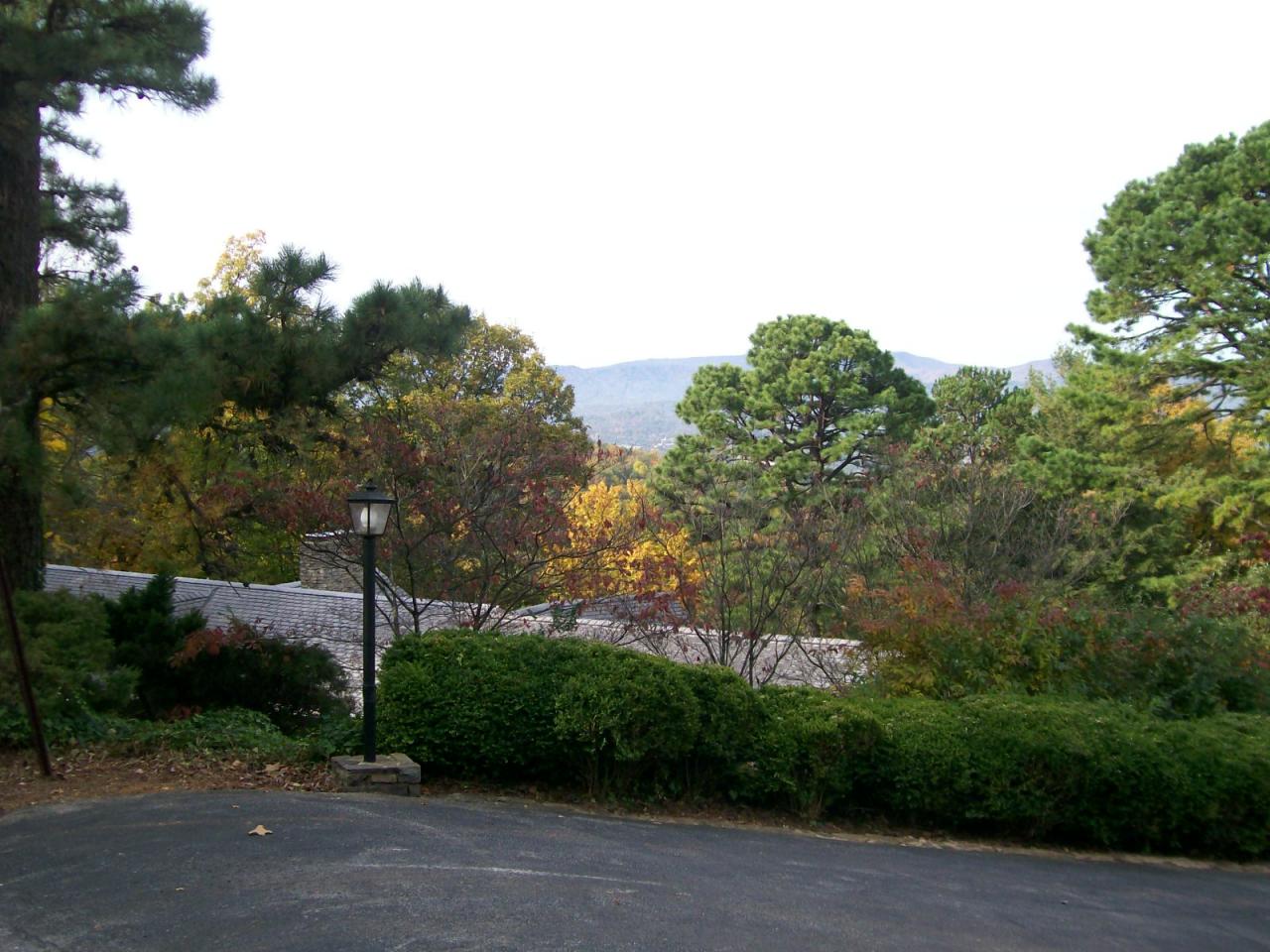 3434 West Ridge Road Southwest Roanoke, VA 24014 - Photo 3 of 16 a view of a street with a tree in the background