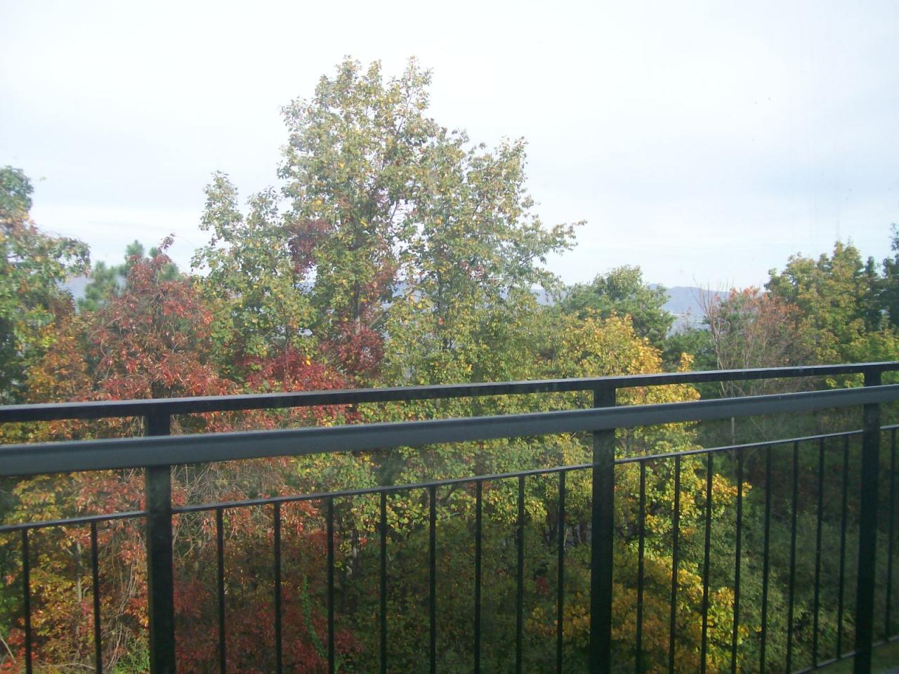 3434 West Ridge Road Southwest Roanoke, VA 24014 - Photo 4 of 16 a view of a balcony with outdoor space