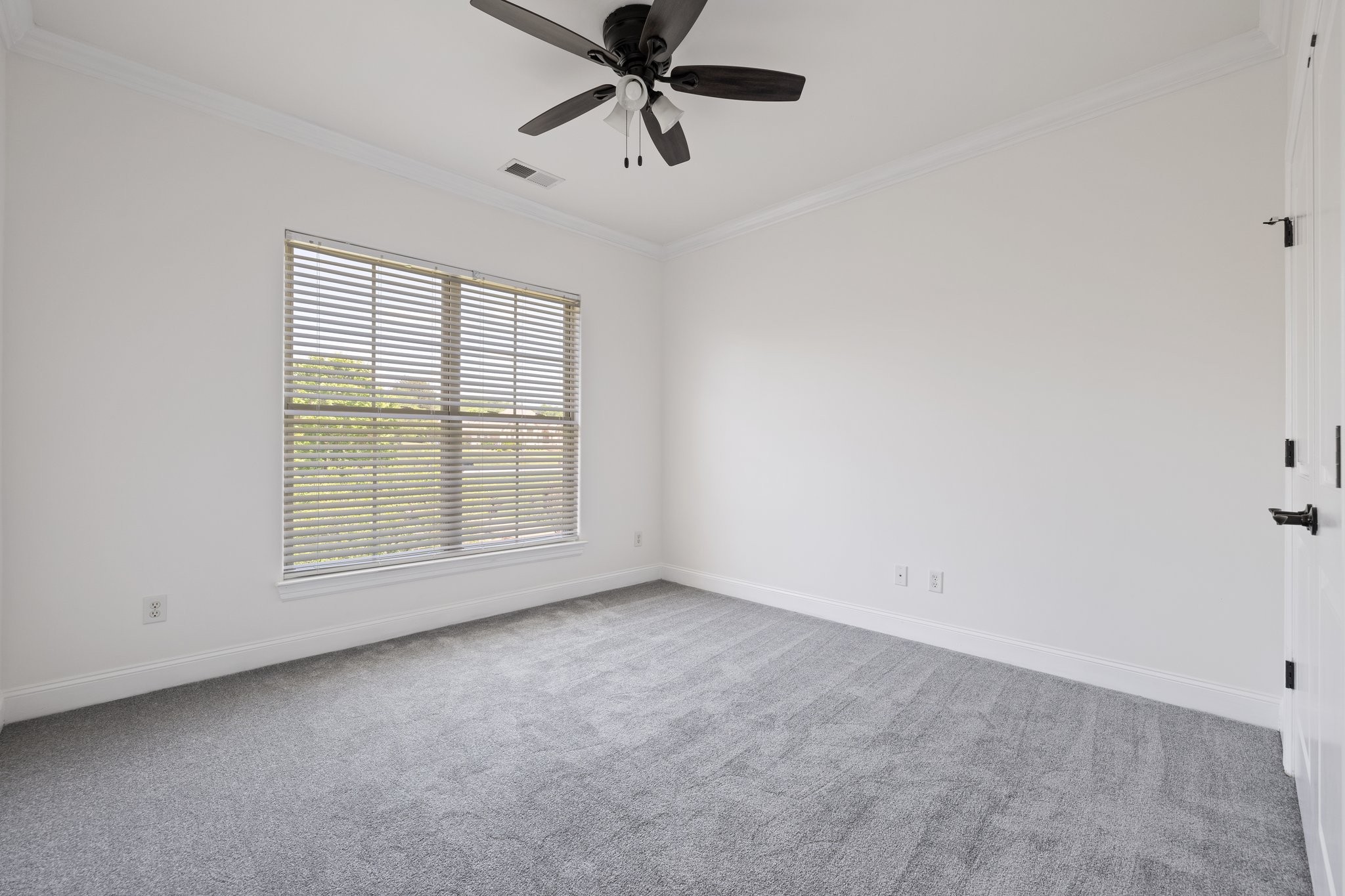 4409 Savage Pointe Drive Franklin, TN 37064 - Photo 42 of 70 an empty room with a window and a fan
