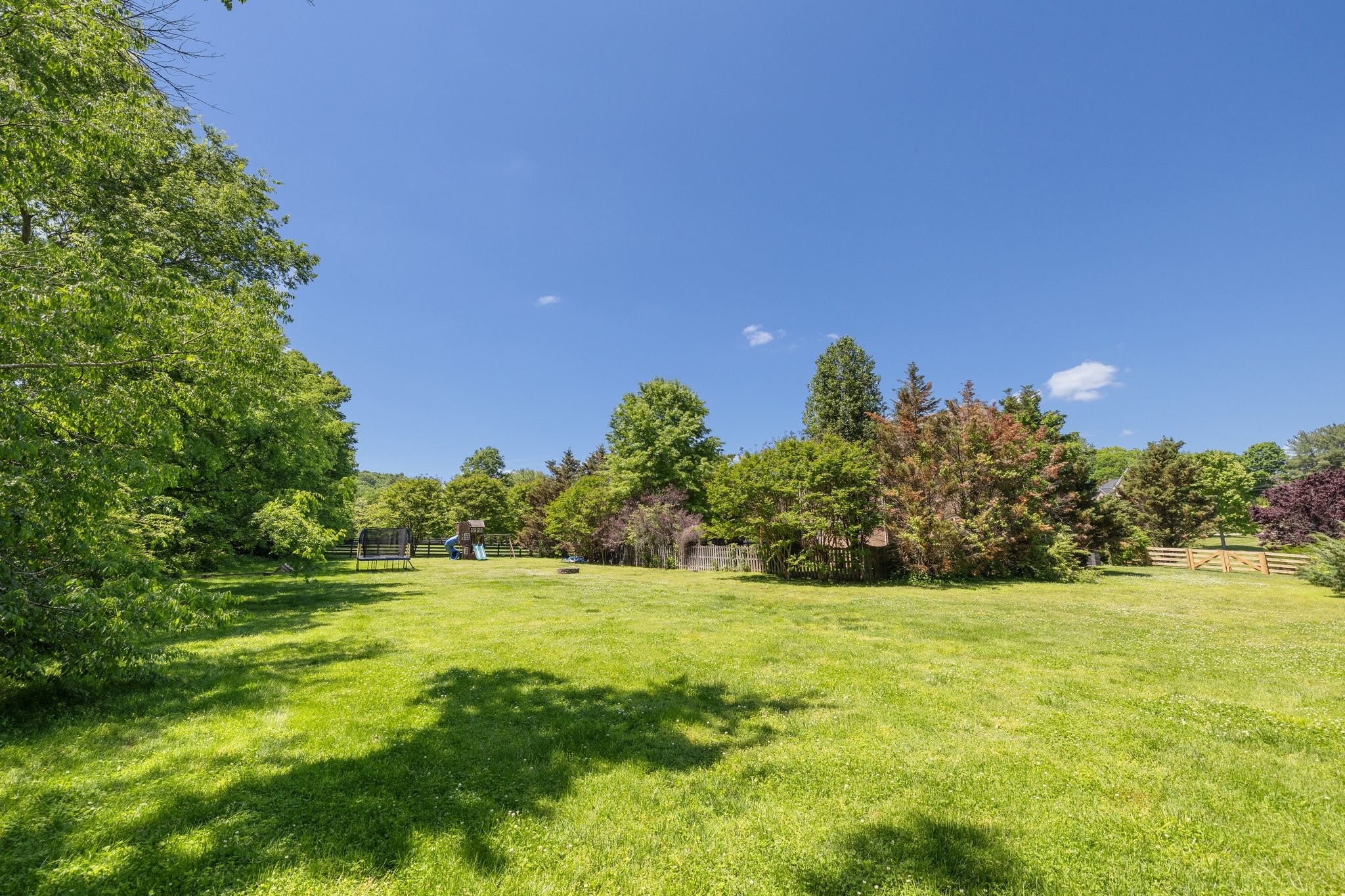 4409 Savage Pointe Drive Franklin, TN 37064 - Photo 61 of 70 a view of a field with a tree in the background